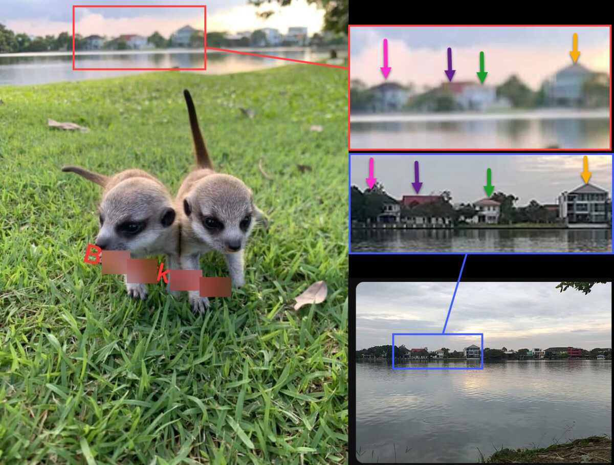 Left: Photo taken by one of BK’s customers shows two meerkats. Top Right: A crop of the buildings in the background of the photo on the left. Bottom Right: An image of Sammakorn Village, Bangkok, Thailand, showing the same row of buildings. Blurring by Bellingcat.